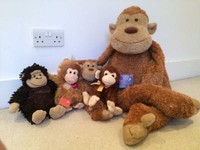 jellycat uk sale